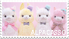 alpacasso