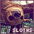 sloth